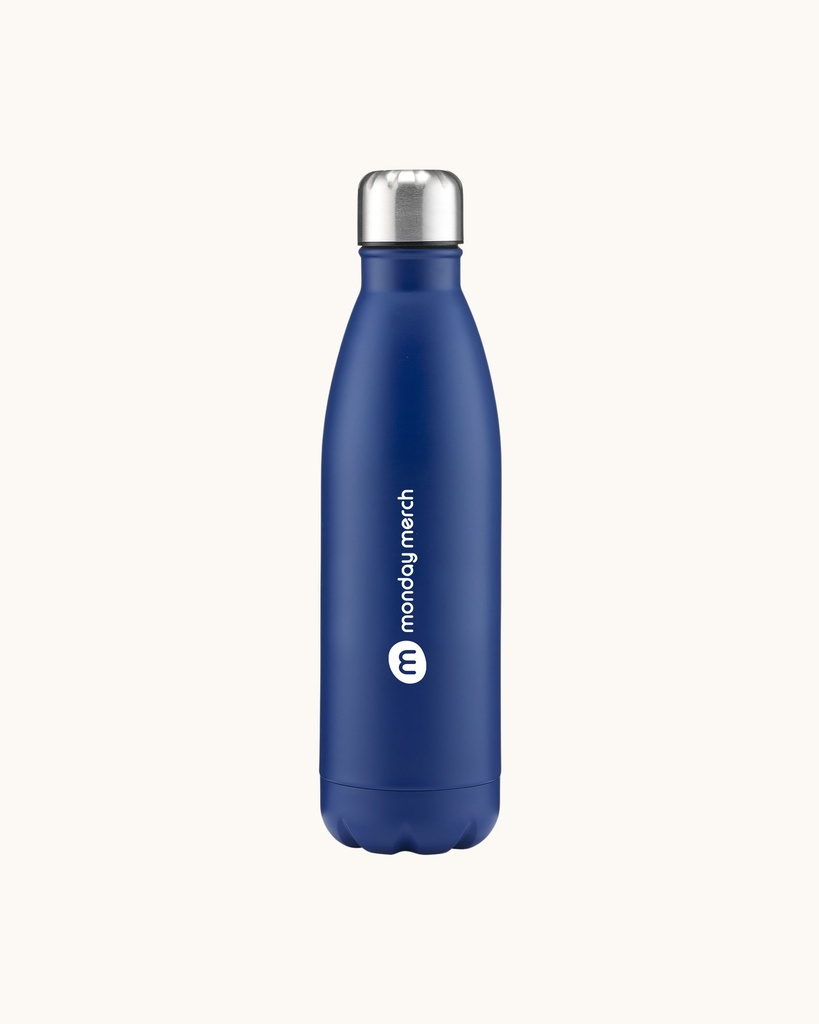 Stainless Steel Classic 790 ml Bottle